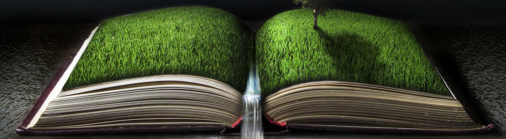Papierkalender (Quelle: forkART Photography, fotolia.de)