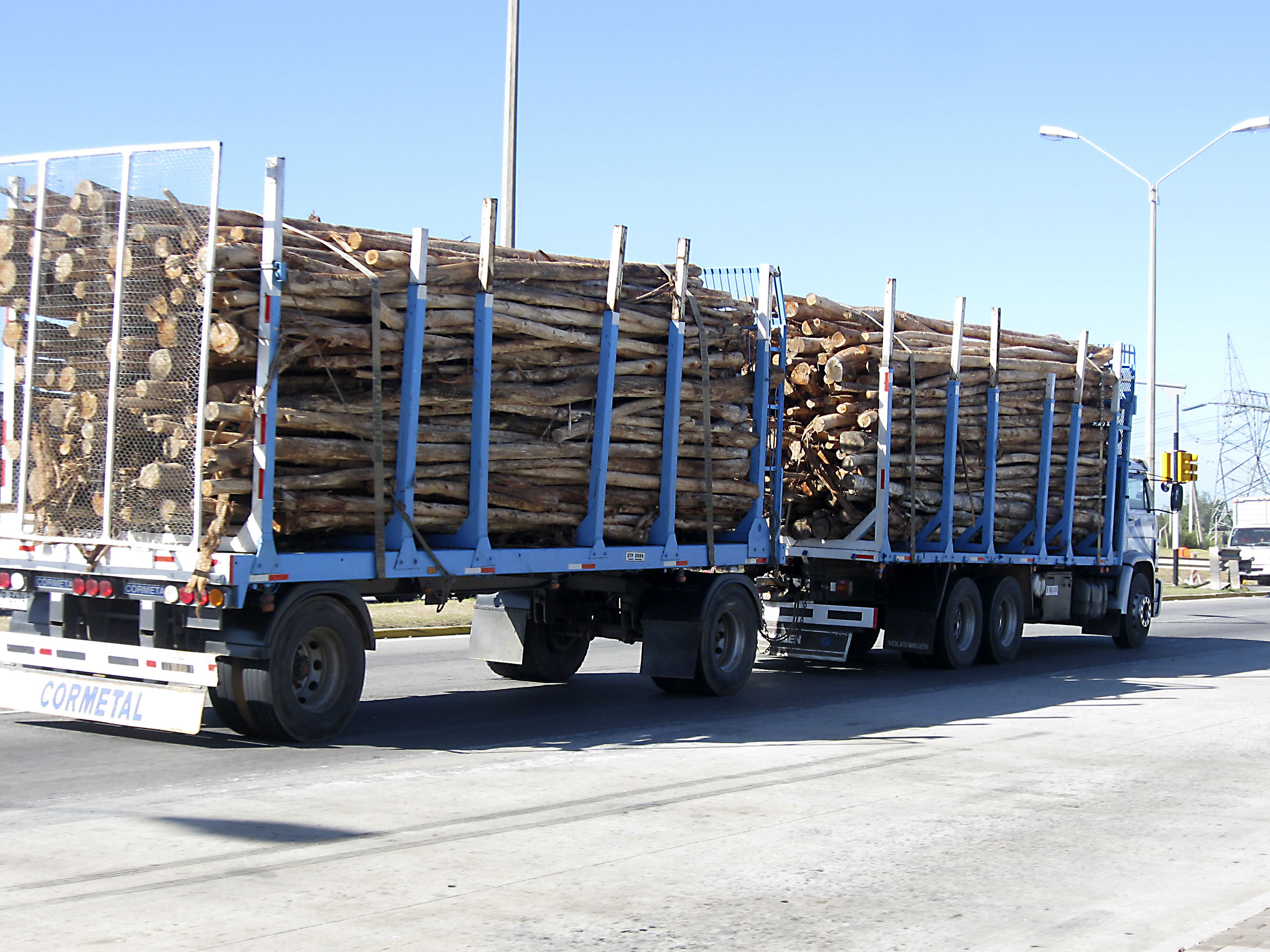Papierherstellung braucht Holz © Alvimann, morguefile.com Papierherstellung aus Holz - Ein Rohstoff für kommende Generationen